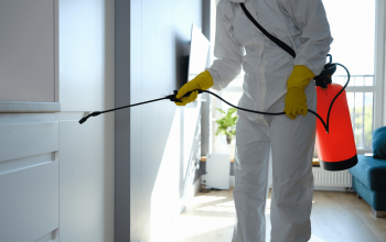 Gentle Pest Control Safe Methods for a Cleaner Environment