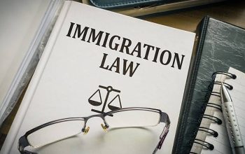 From Visa to Citizenship: Austin Immigration Lawyer's Expertise
