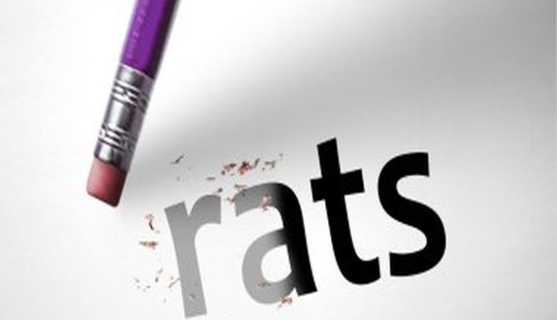 Strategies for Successful Pest Control for Rats